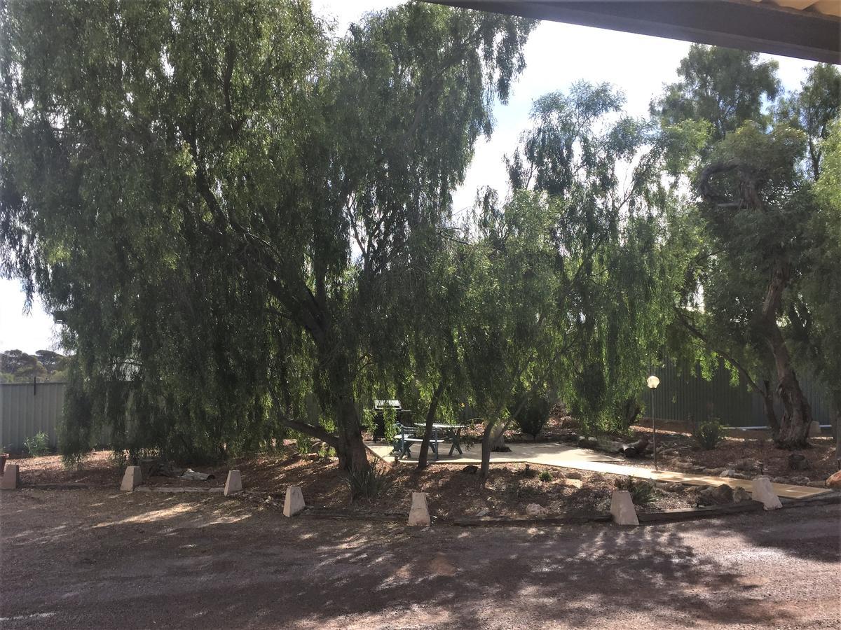 Ceduna Motor Inn Exteriör bild